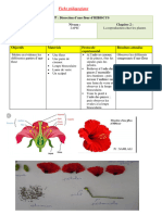 TP Dissection D'une Fleur