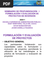 Seminario Formulacion y Evaluacion de Proyectos 2024