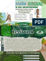 Trabajo ECOVIDA - Compressed