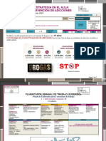 Programa Analitico 2024 (Prevencion de Adicciones)