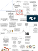 La Fecundacion y Desarrollo Embrionario Semana 1 y 2