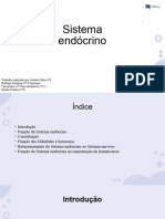 Sistema Endocrino