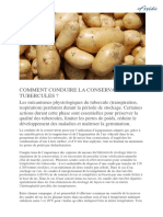 Comment Conserver Les Tubercules