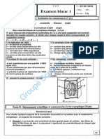 Gsa 2bac 1920 Eb1 PC SVT