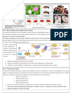 Documents Expression de IG