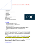 3.1 Estructura Del Protocolo Acorde A Lineamientos Establecidos.