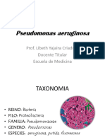 Pseudomonas 