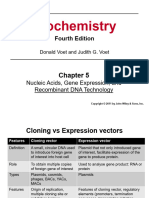 Week 3B - Protein Expression