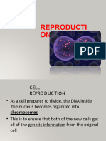 Cell Reproduction