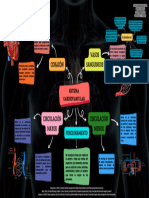 Mapa Mental de Sistema Cardiovascular