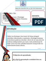 AULA 12 ANATOMIA (Sistema Reprodutor Feminino)