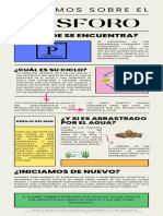 Ciclo Del Fósforo Infografia