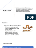 Aula 4 - Agnatha