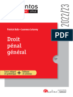 Droit Penal General Extrait