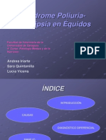 4B-Poliuria-Polidipsia en El Equino