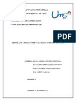 Ley Organica Del Banco de Guatemala ANALISIS COMPLETO