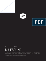 Manual mp4 Bluesound Ed2h Web