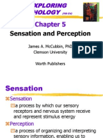 Sensation and Perception: James A. Mccubbin, PHD Clemson University Worth Publishers