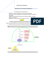 APUNTES Sobre Farmacologia Adrenergica