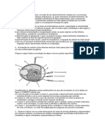 Documento PDF-3C694C6267C3-1