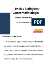 Sistema Respiratório