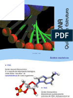 ADN - ESTRUTURA E QUIMICA - 11 Ano