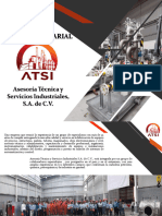 Perfil Empresarial Atsi