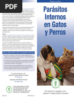 Internalparasites Brochure Spanish