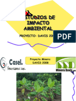 Evaluacion de Impacto Ambiental 6 Audiencia DAVIS