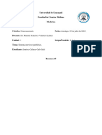 Resumen 5 - Sistema Nervioso Periférico