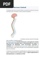 Sistema Nervoso Central