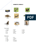 Domestic Animals - 1 - Grade 3