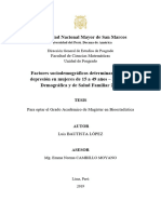 Factores Sociodemograficos Determinantes de La Depresion en Mujeres de 15 A 49 Años-Encuesta Demografica y de Salud Familiar 2015