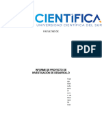 Modelo de Informe de Proyecto de Desarrollo