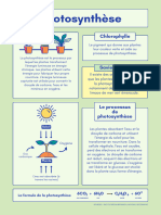 Photosynthèse