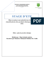 Rapport de Stage D'ete