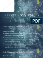 Nervous System