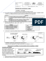 Examen2017 Tafilalet Draa