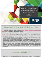 4 Slides Desenvolvimento Sustentável