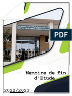 Memoire Finale