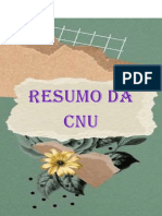 Cnu Resumo 1