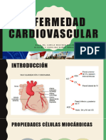 Ecv Fase 1