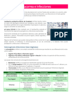 Leucorrea e Infecciones