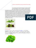 Informe Completo de Nomenclaturaarancelaria 3ro - A