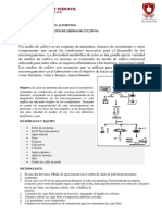 Reporte de Microbiologia