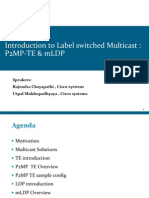 Cisco Lecture P2MP