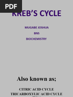 Kreb's Cycle