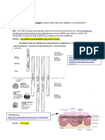 Oral SVT