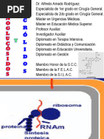 Conferencias Alumnos - Aminoglucósidos y Macrólidos