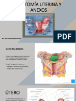 11ma Semana - Anatomía Uterina y Anexos